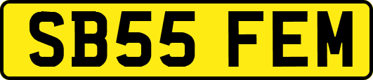 SB55FEM