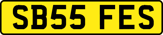 SB55FES
