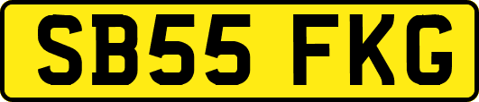 SB55FKG
