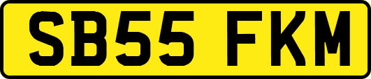 SB55FKM