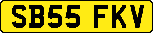 SB55FKV