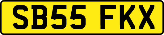 SB55FKX