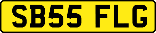 SB55FLG