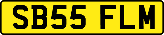 SB55FLM
