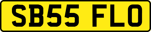 SB55FLO