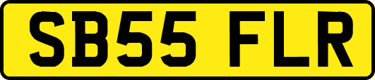 SB55FLR