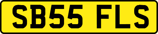 SB55FLS