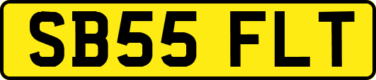 SB55FLT