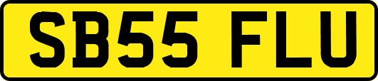 SB55FLU