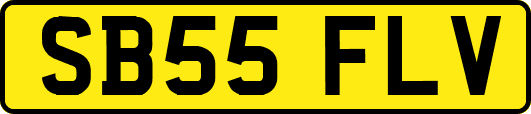 SB55FLV