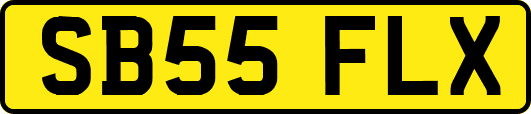 SB55FLX