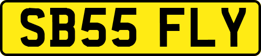 SB55FLY