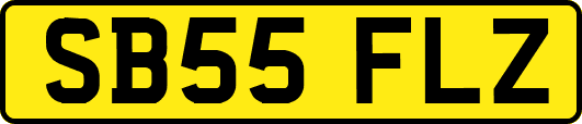 SB55FLZ