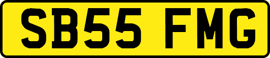 SB55FMG