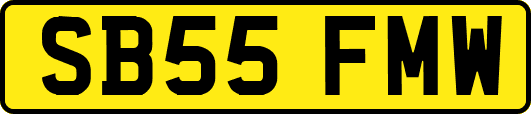 SB55FMW