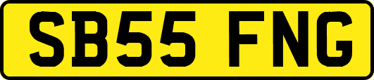 SB55FNG