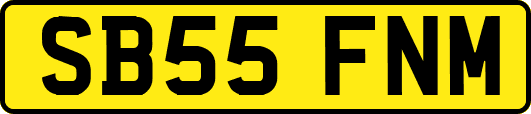 SB55FNM