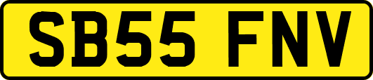 SB55FNV
