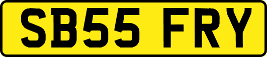 SB55FRY