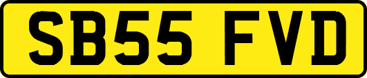 SB55FVD