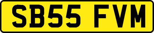 SB55FVM