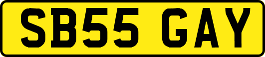 SB55GAY