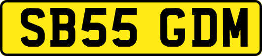 SB55GDM