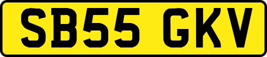SB55GKV