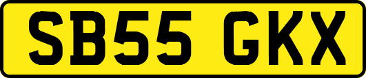 SB55GKX