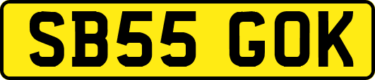 SB55GOK