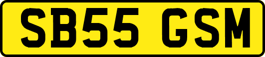 SB55GSM