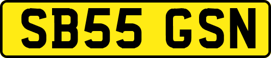 SB55GSN