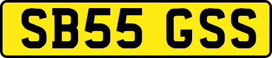 SB55GSS