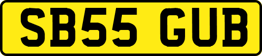 SB55GUB