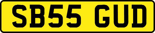 SB55GUD