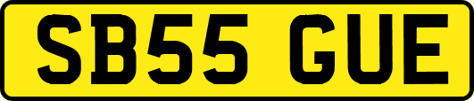 SB55GUE