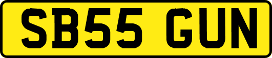 SB55GUN