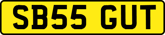 SB55GUT