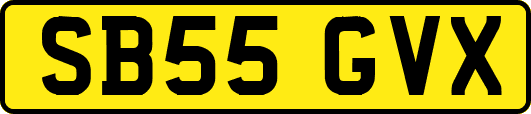SB55GVX