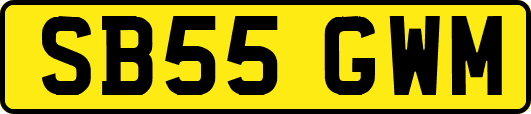 SB55GWM
