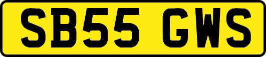 SB55GWS