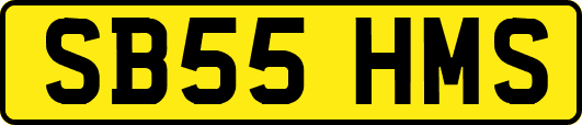 SB55HMS