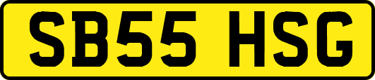 SB55HSG