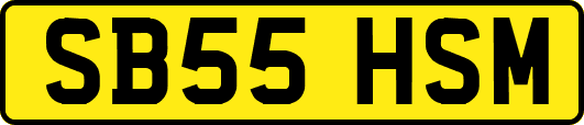 SB55HSM