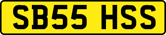 SB55HSS