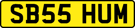 SB55HUM