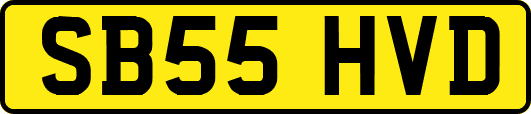 SB55HVD