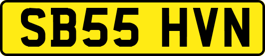 SB55HVN