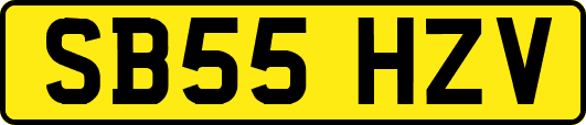 SB55HZV