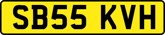 SB55KVH